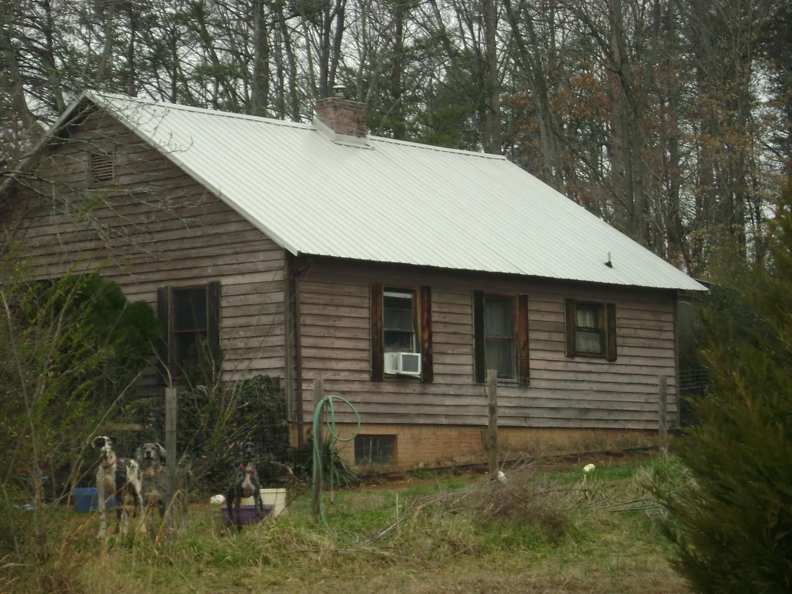 White metal roof on an old wood sided farmhouse, from a Asphalt Shingle Roof Repair job in Spring Valley